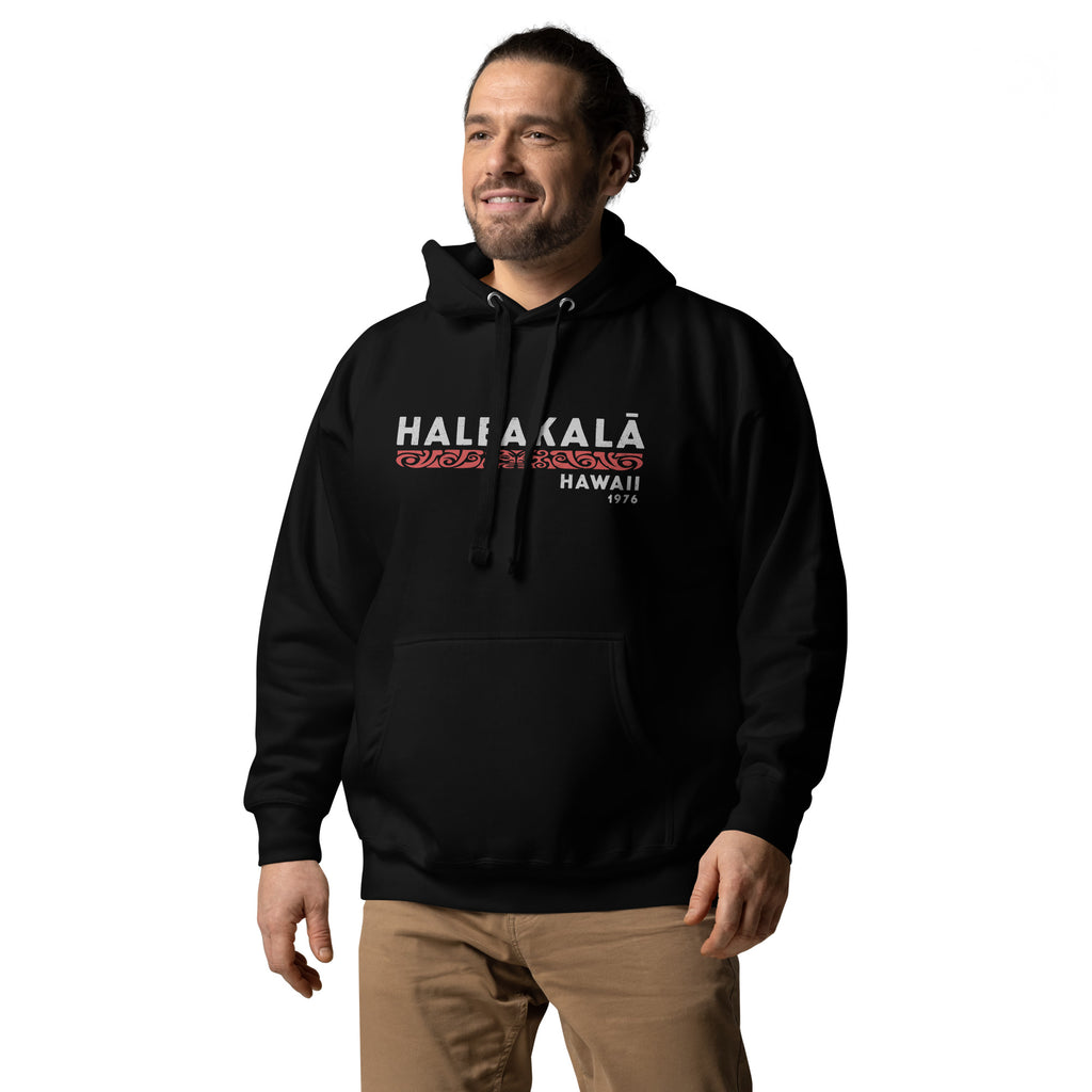 Haleakala Hawaii Park 1976 vintage graphic, printed on a SodaPop Cool hoodie.
