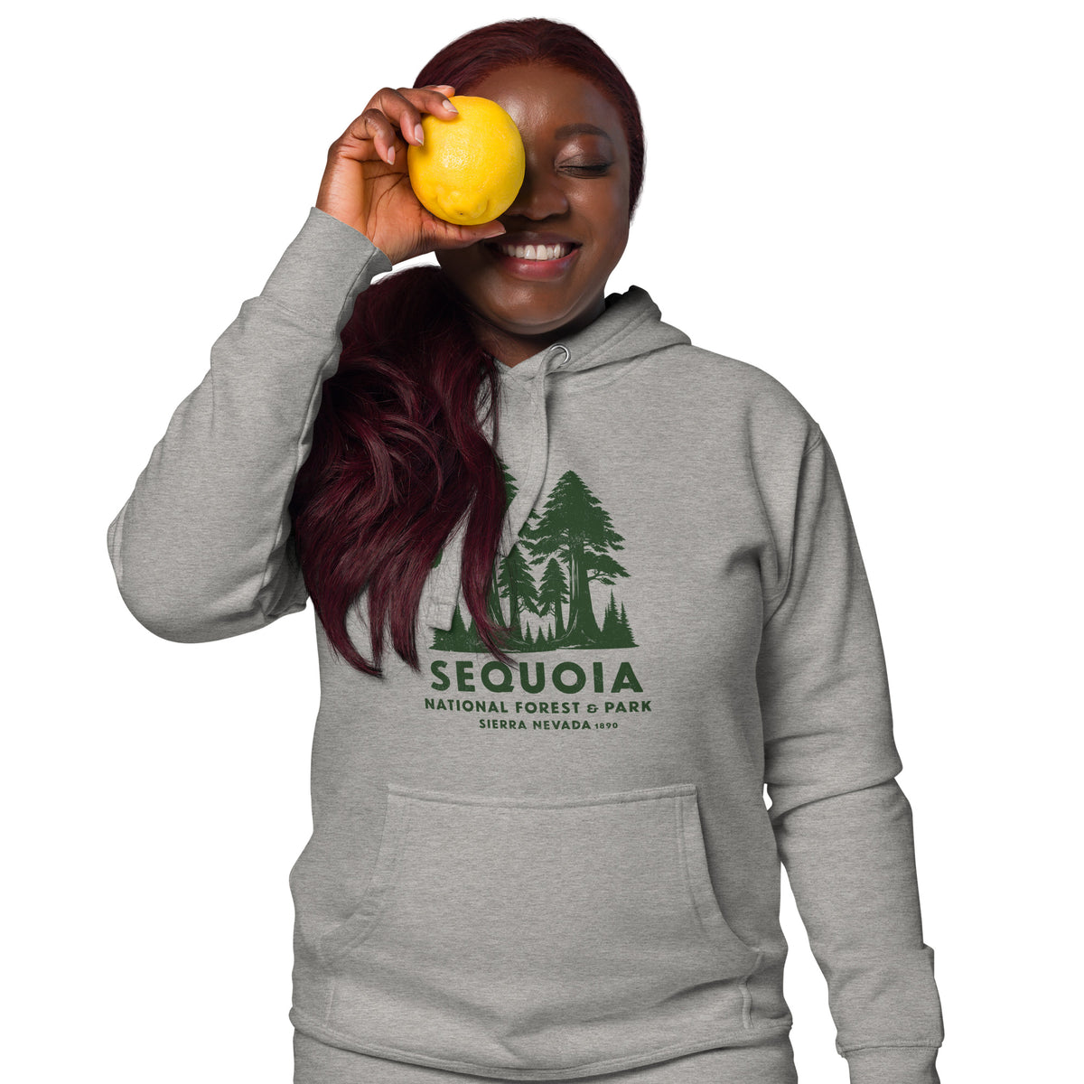 Sequoia Forest & Park California vintage graphic, printed on a SodaPop Cool hoodie.