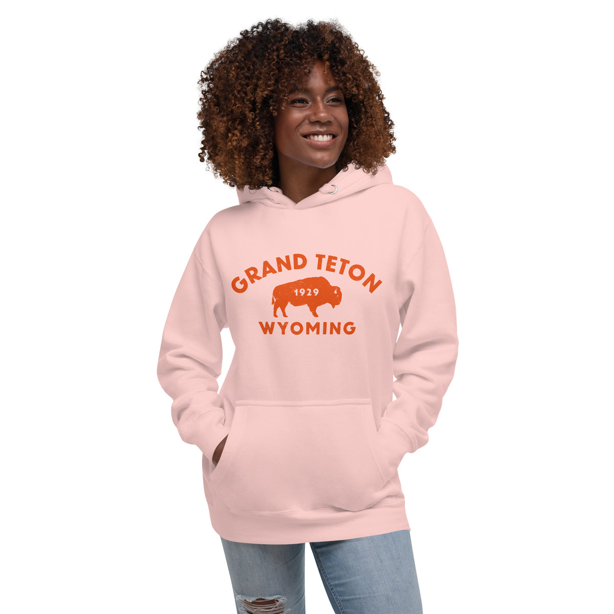 Bison in front of Grand Teton rock formations, vintage national park poster styling, printed on a SodaPop Cool hoodie.