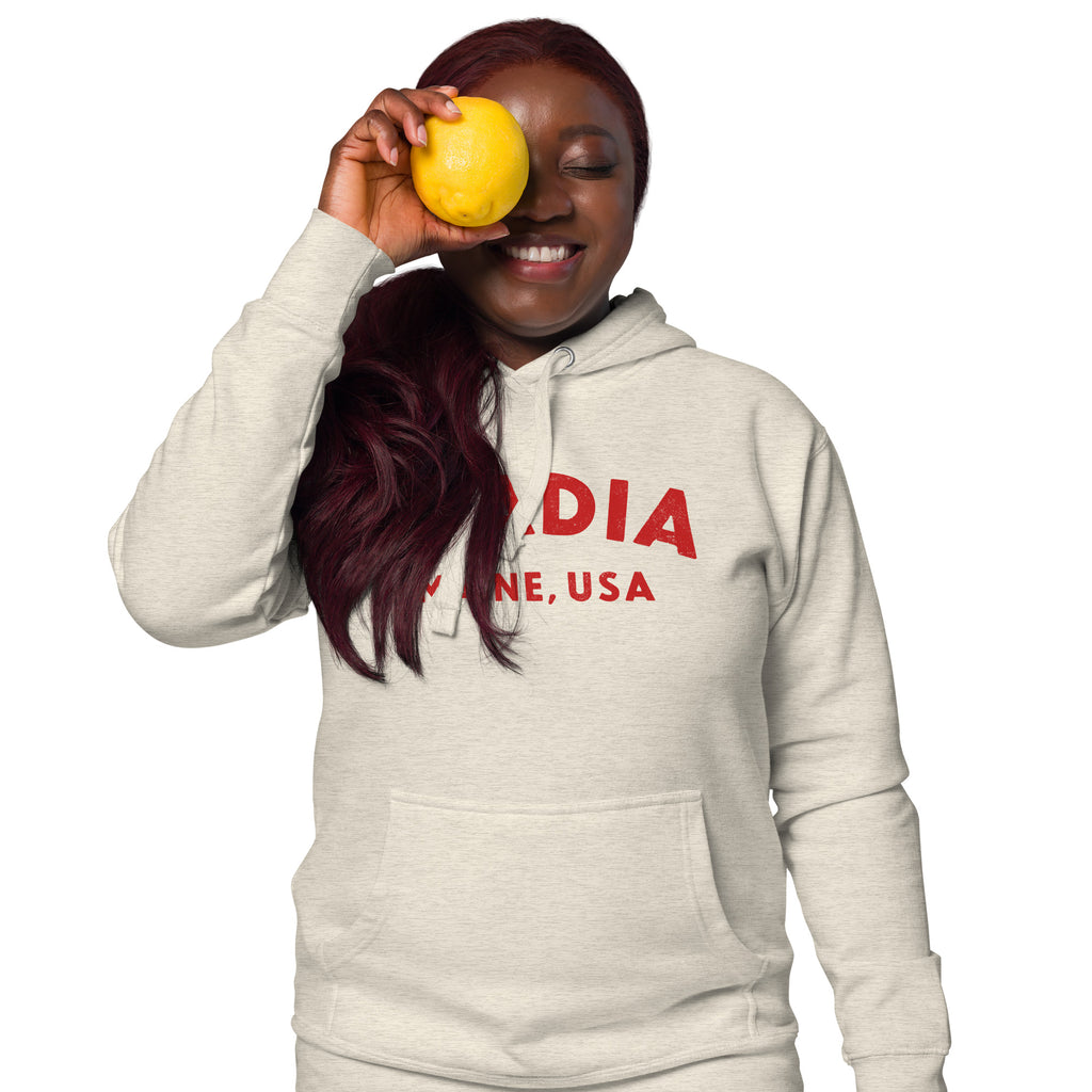 Acadia Maine Park vintage graphic, printed on a SodaPop Cool hoodie.