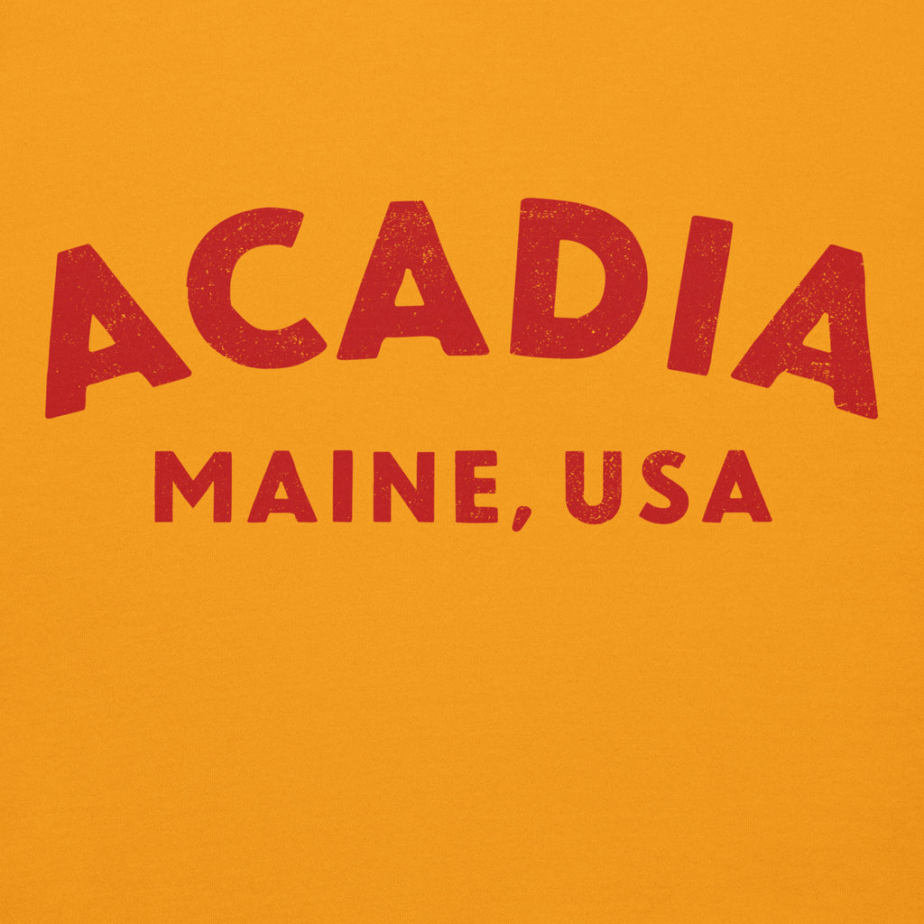 Acadia Maine Park vintage graphic, printed on a SodaPop Cool hoodie.