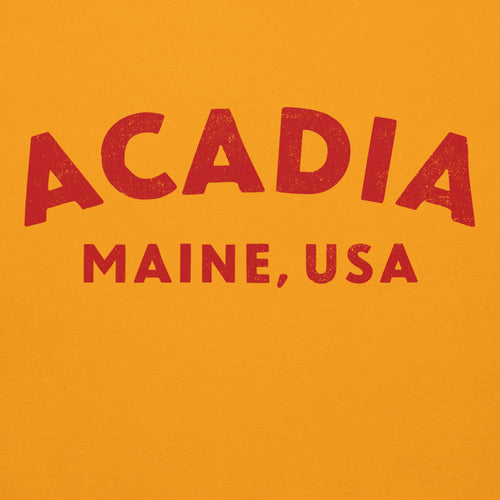 Acadia Maine Park vintage graphic, printed on a SodaPop Cool hoodie.
