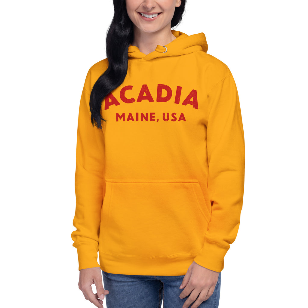 Acadia Maine Park vintage graphic, printed on a SodaPop Cool hoodie.
