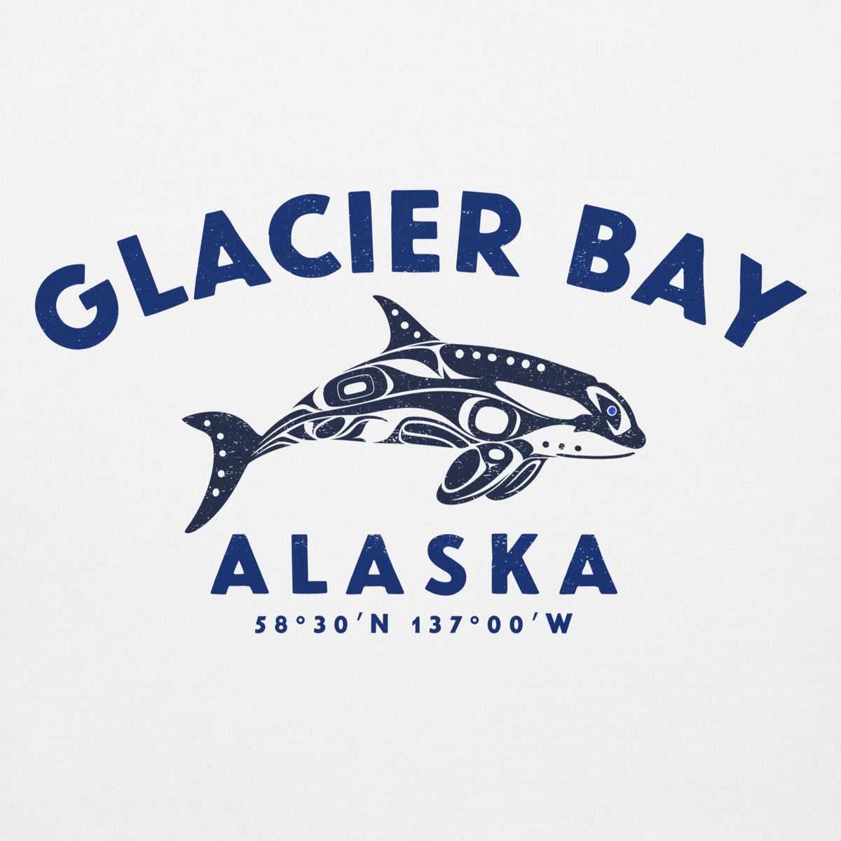 Glacier Bay Alaska Park Orca vintage graphic, printed on a SodaPop Cool hoodie.