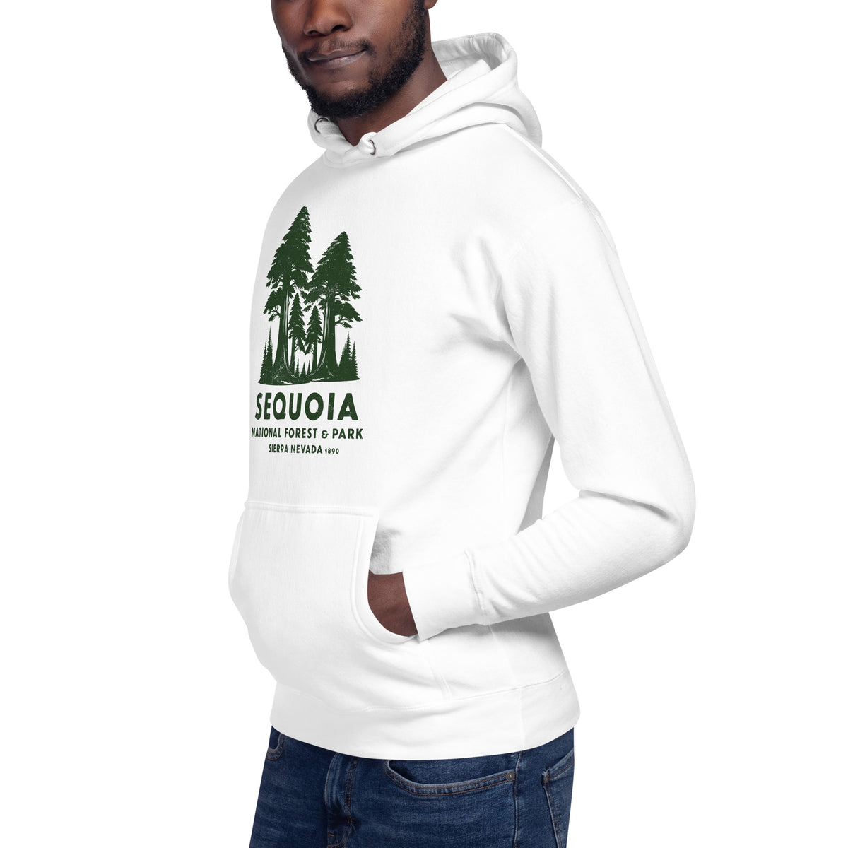 Sequoia Forest & Park California vintage graphic, printed on a SodaPop Cool hoodie.