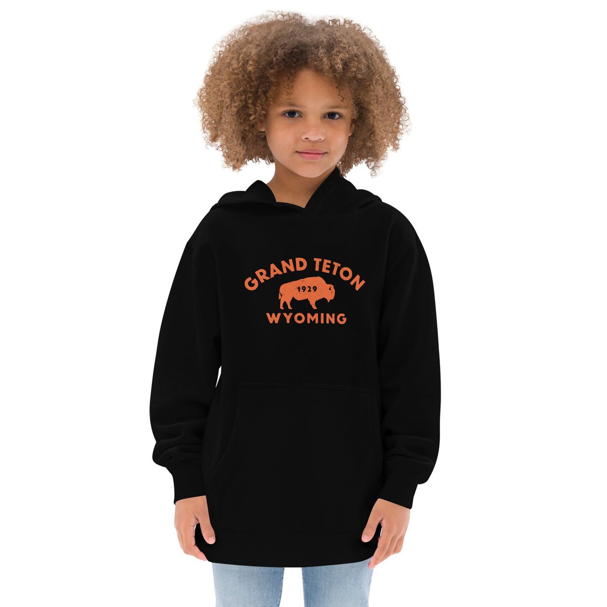 Bison in front of Grand Teton rock formations, vintage national park poster styling, printed on a SodaPop Cool kids hoodie.