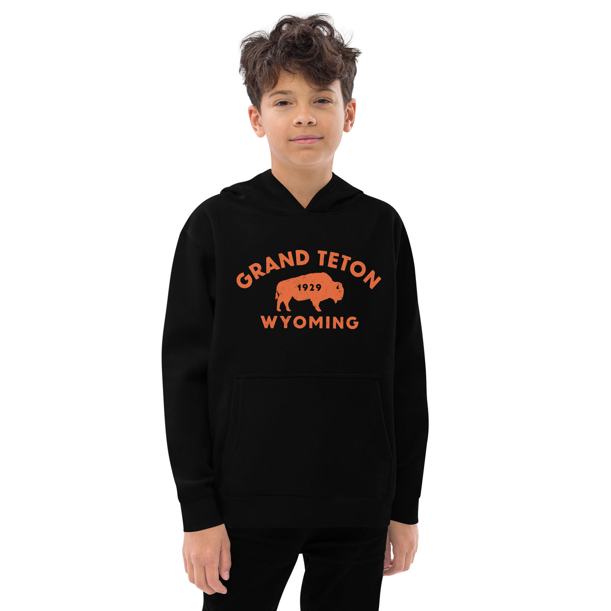 Bison in front of Grand Teton rock formations, vintage national park poster styling, printed on a SodaPop Cool kids hoodie.