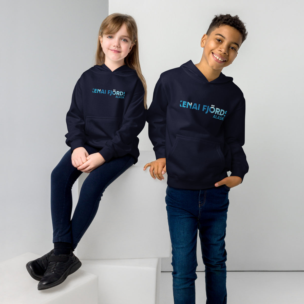 Kenai Fjords Park Alaska vintage graphic, printed on a SodaPop Cool kids hoodie.