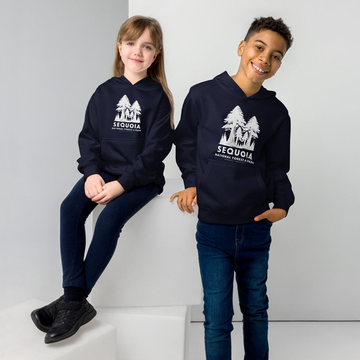 Sequoia Forest & Park California vintage graphic, printed on a SodaPop Cool kids hoodie.