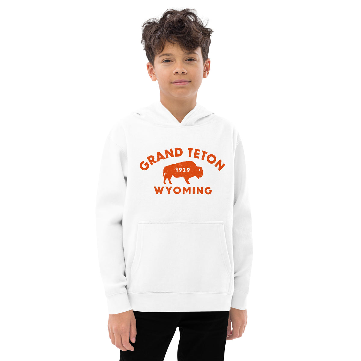 Bison in front of Grand Teton rock formations, vintage national park poster styling, printed on a SodaPop Cool kids hoodie.
