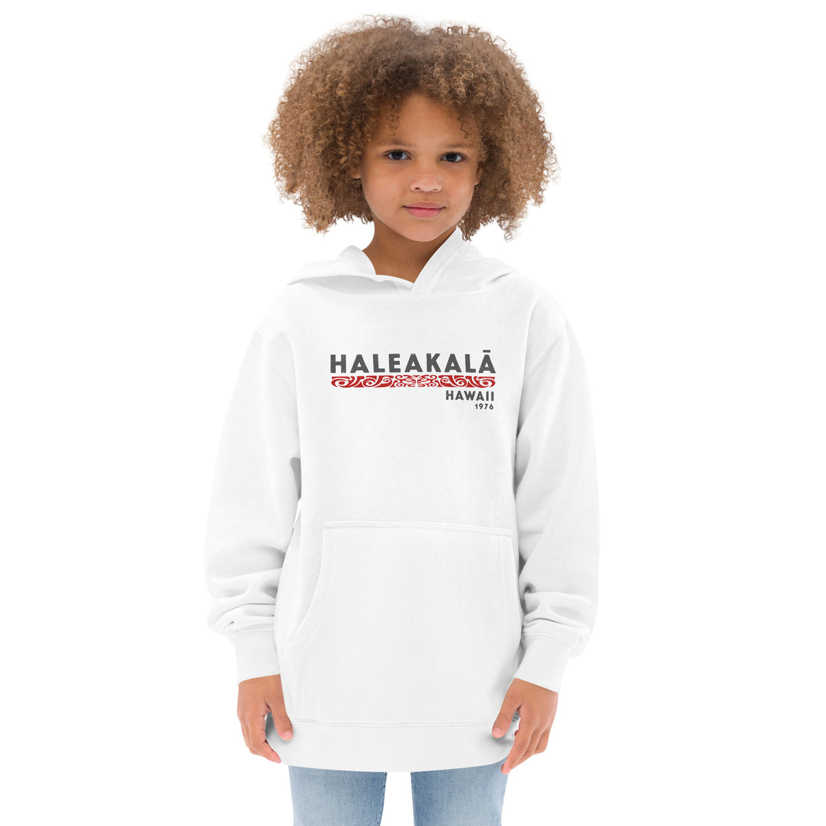 Haleakala Hawaii Park 1976 vintage graphic, printed on a SodaPop Cool kids hoodie.