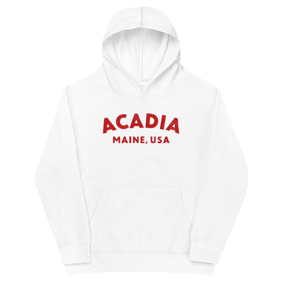 Acadia Maine Park vintage graphic, printed on a SodaPop Cool kids hoodie.