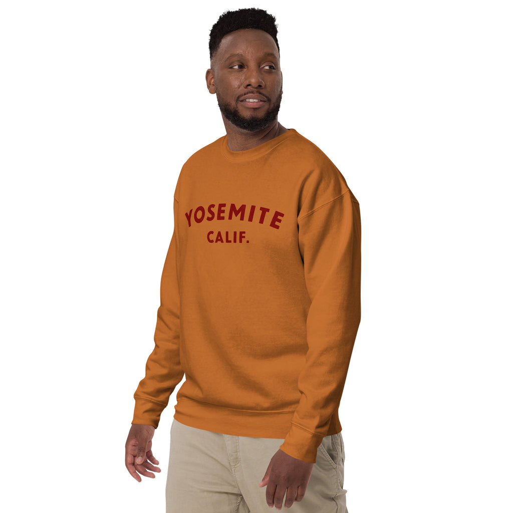 "Yosemite National Park" in vintage park-service lettering, printed on a SodaPop Cool crew sweatshirt.