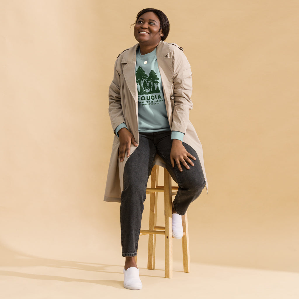 Sequoia Forest & Park California vintage graphic, printed on a SodaPop Cool crew sweatshirt.