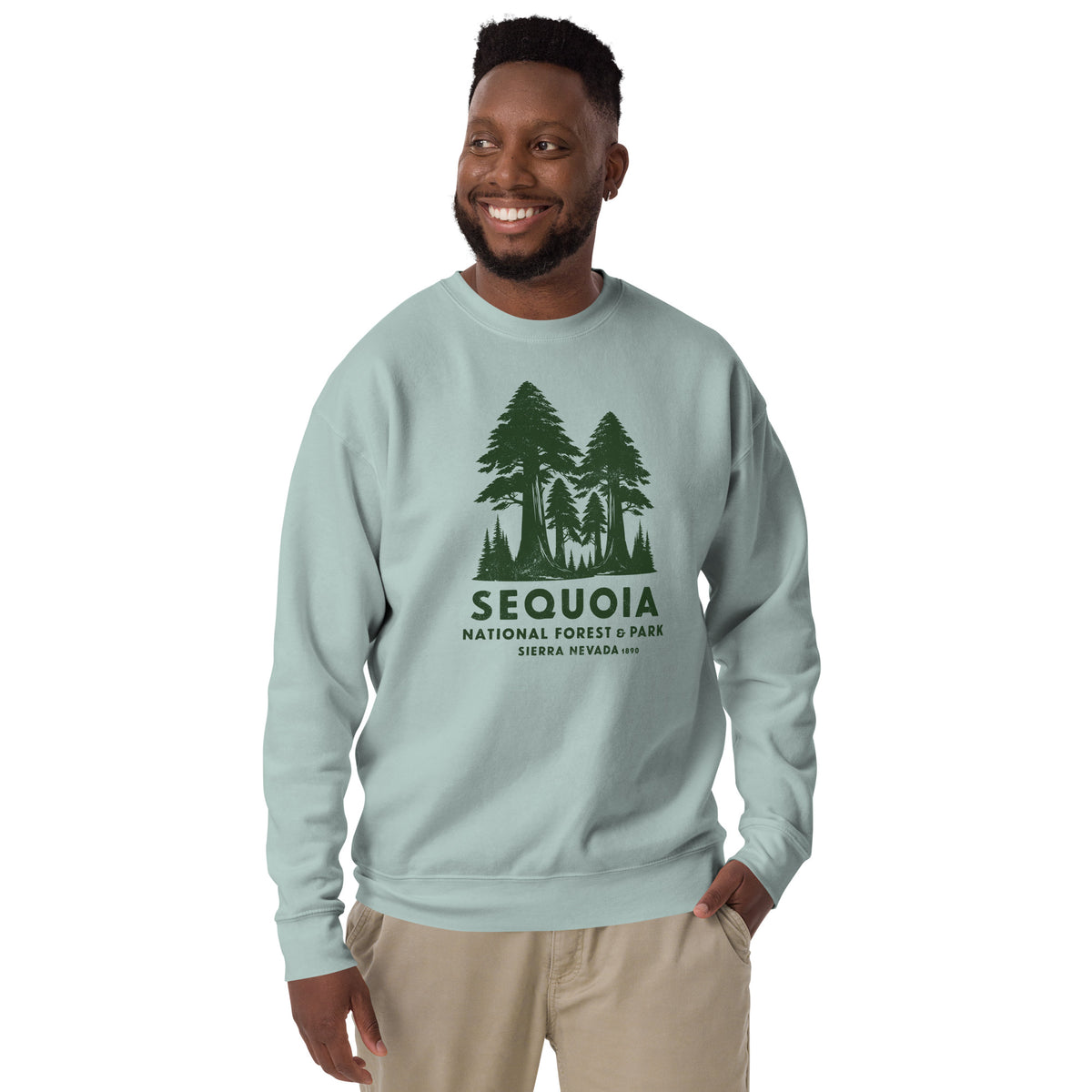 Sequoia Forest & Park California vintage graphic, printed on a SodaPop Cool crew sweatshirt.
