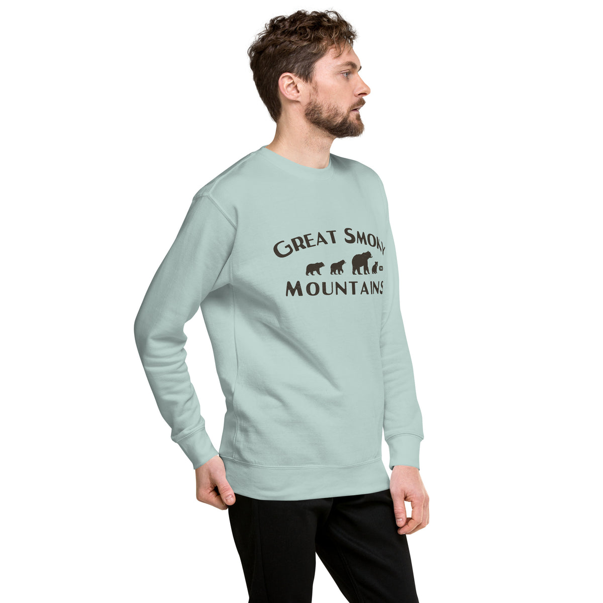 Great Smoky Mountains Park Bears vintage graphic, printed on a SodaPop Cool crew sweatshirt.