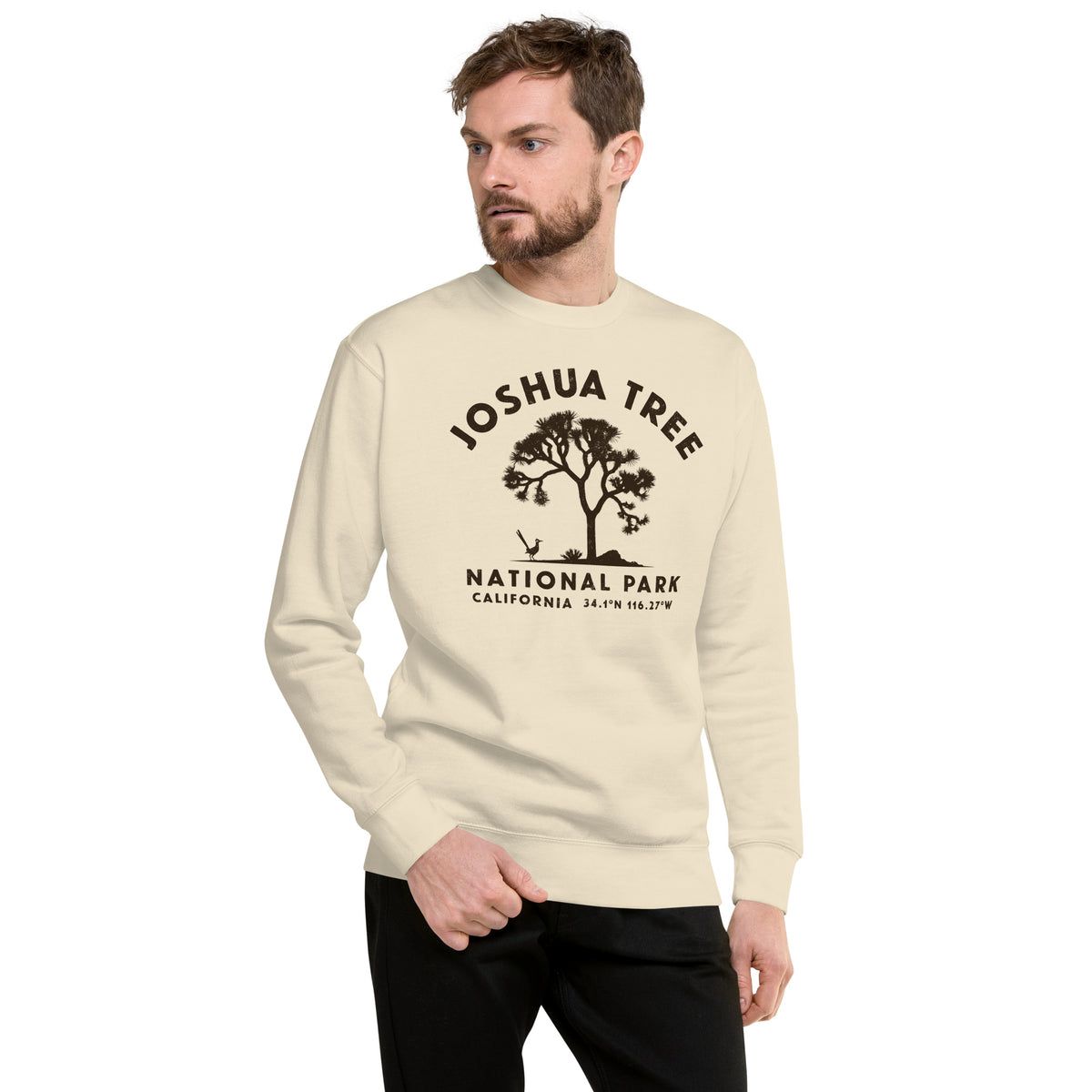 Joshua tree and a desert bird in classic national park styling, printed on a SodaPop Cool crew sweatshirt.