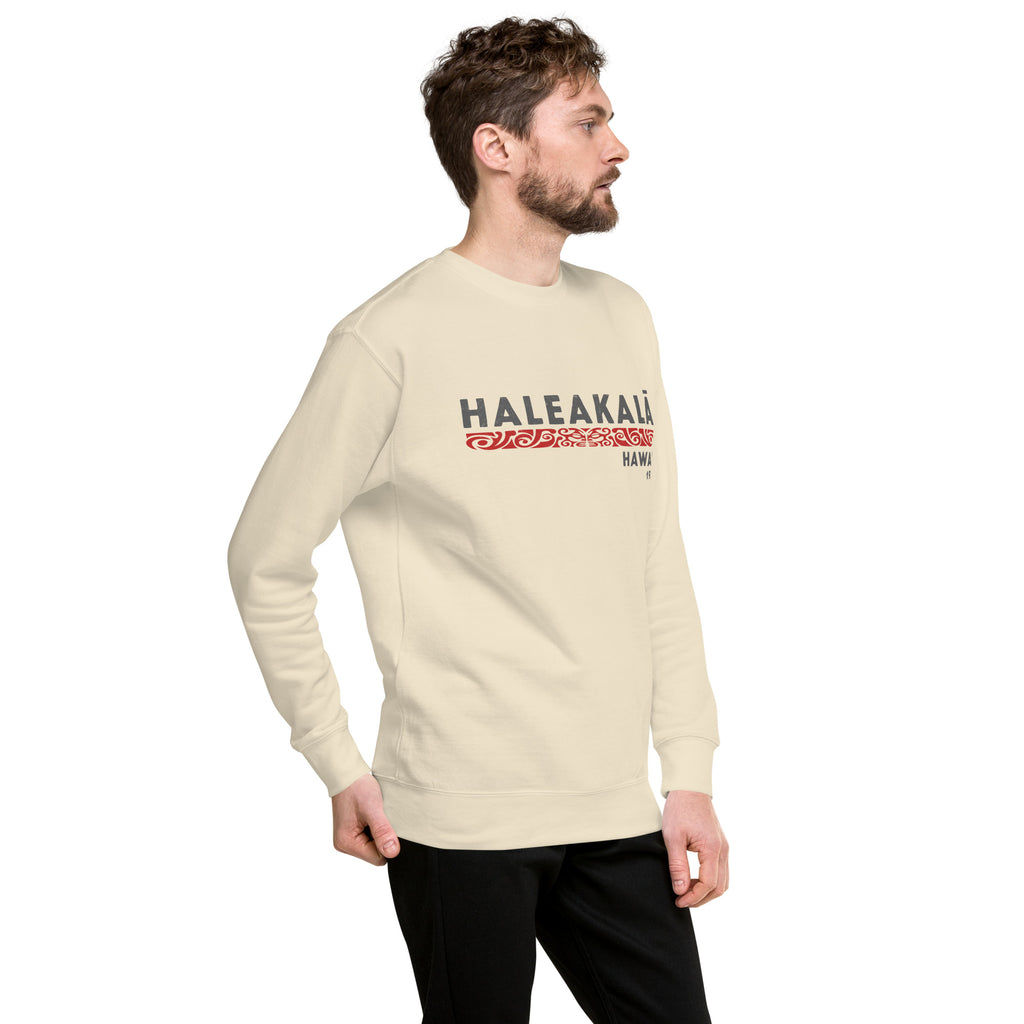 Haleakala Hawaii Park 1976 vintage graphic, printed on a SodaPop Cool crew sweatshirt.