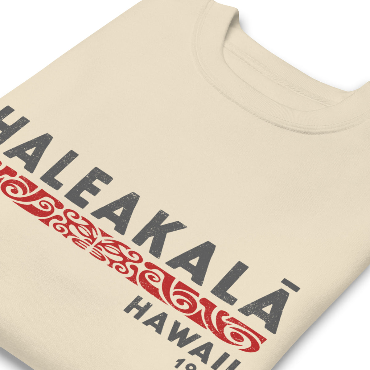 Haleakala Hawaii Park 1976 vintage graphic, printed on a SodaPop Cool crew sweatshirt.