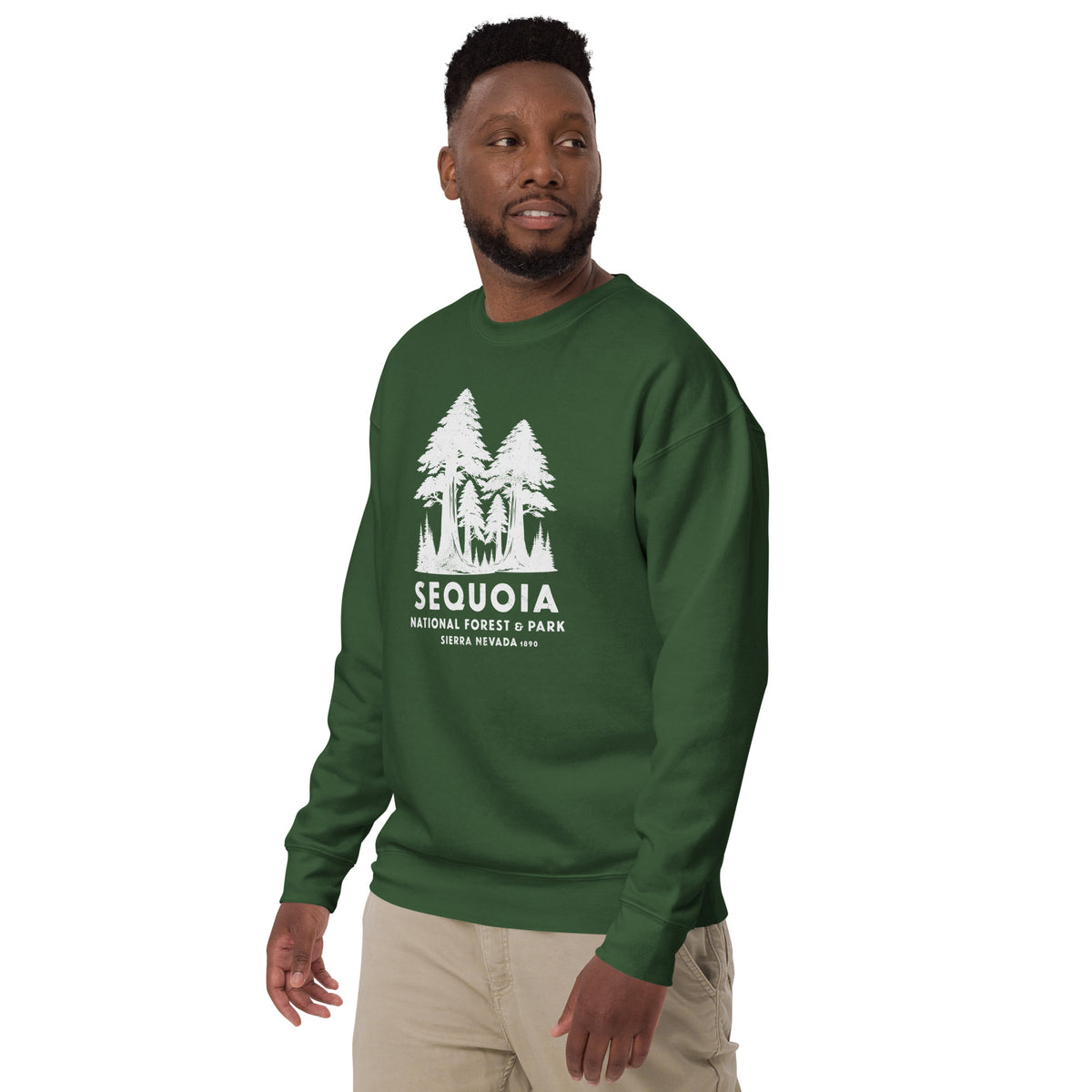 Sequoia Forest & Park California vintage graphic, printed on a SodaPop Cool crew sweatshirt.