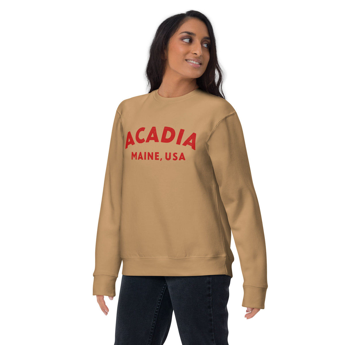 Acadia Maine Park vintage graphic, printed on a SodaPop Cool crew sweatshirt.