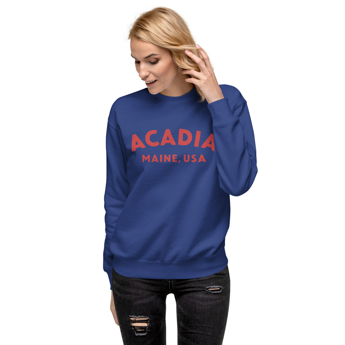 Acadia Maine Park vintage graphic, printed on a SodaPop Cool crew sweatshirt.