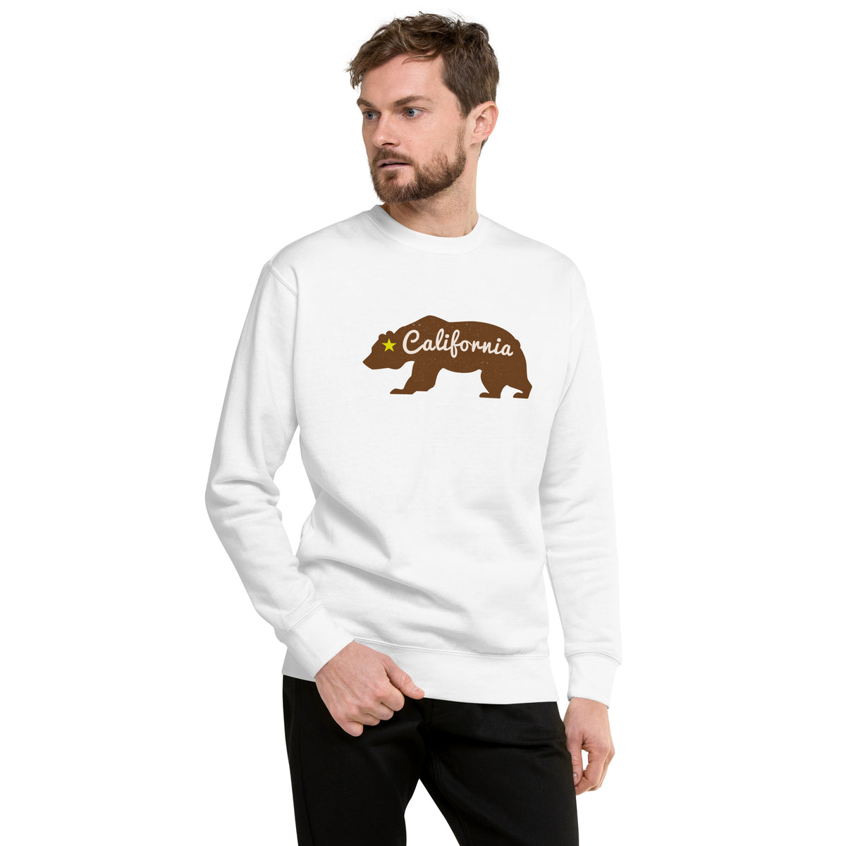 California state bear with a single star, classic vintage styling, printed on a SodaPop Cool crew sweatshirt.