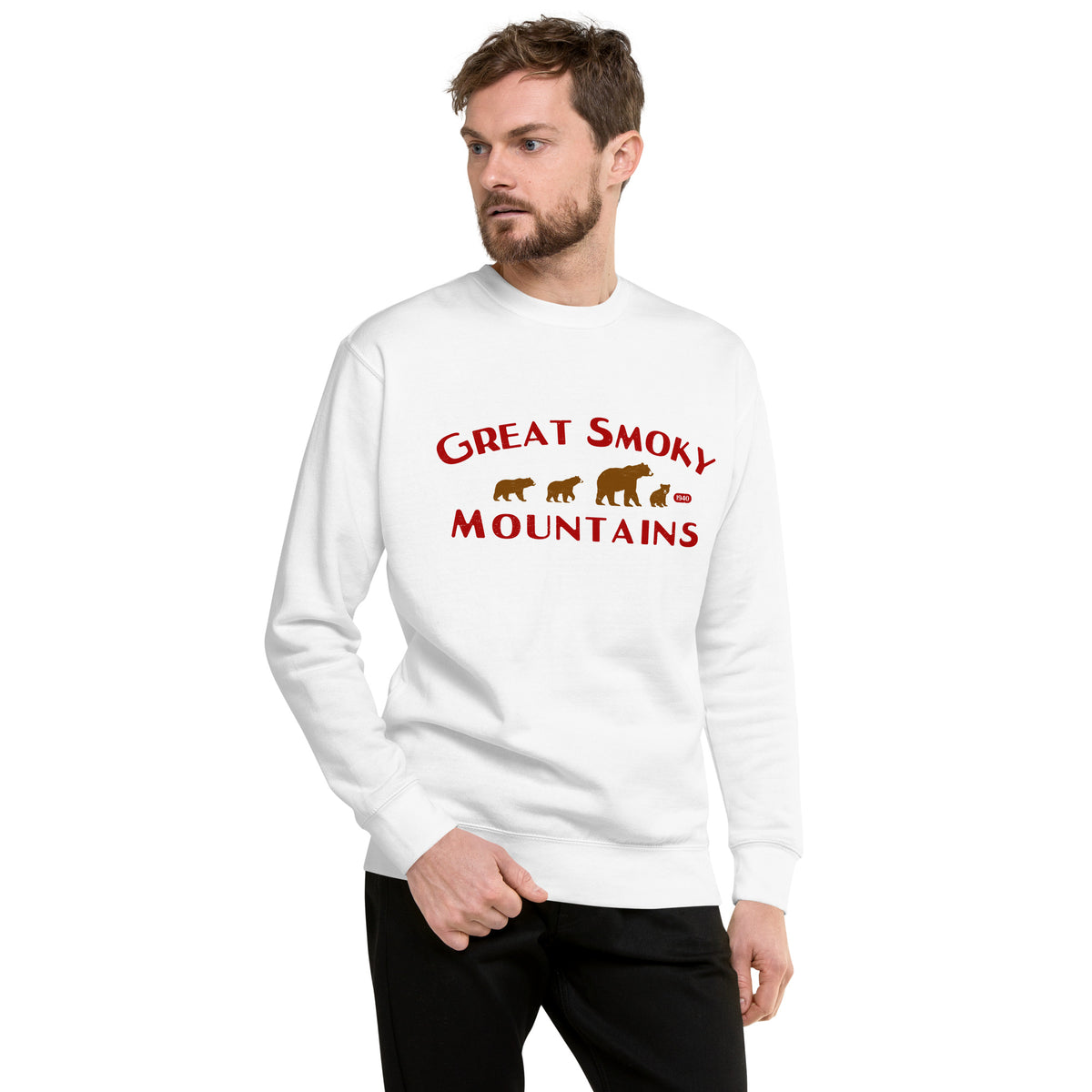 Great Smoky Mountains Park Bears vintage graphic, printed on a SodaPop Cool crew sweatshirt.