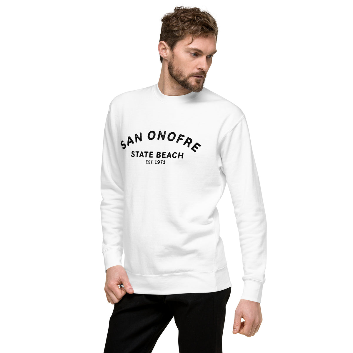 San Onofre Beach California vintage graphic, printed on a SodaPop Cool crew sweatshirt.