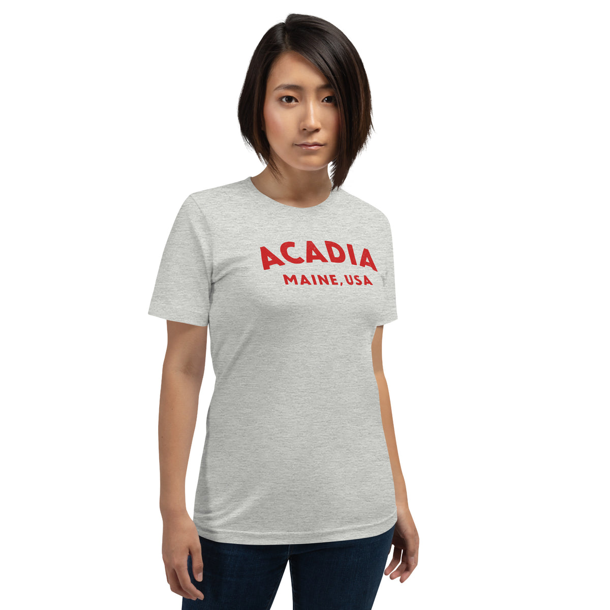 Acadia Maine Park vintage graphic, printed on a SodaPop Cool t-shirt.