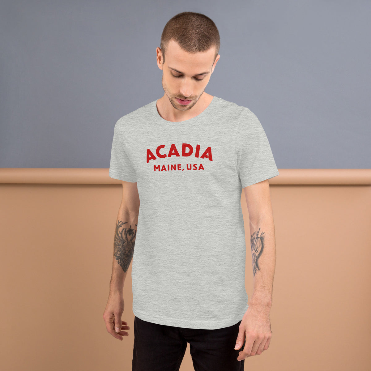 Acadia Maine Park vintage graphic, printed on a SodaPop Cool t-shirt.