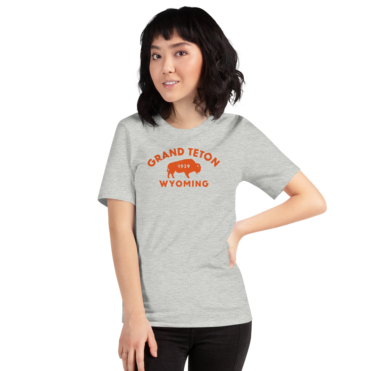 Bison in front of Grand Teton rock formations, vintage national park poster styling, printed on a SodaPop Cool t-shirt.