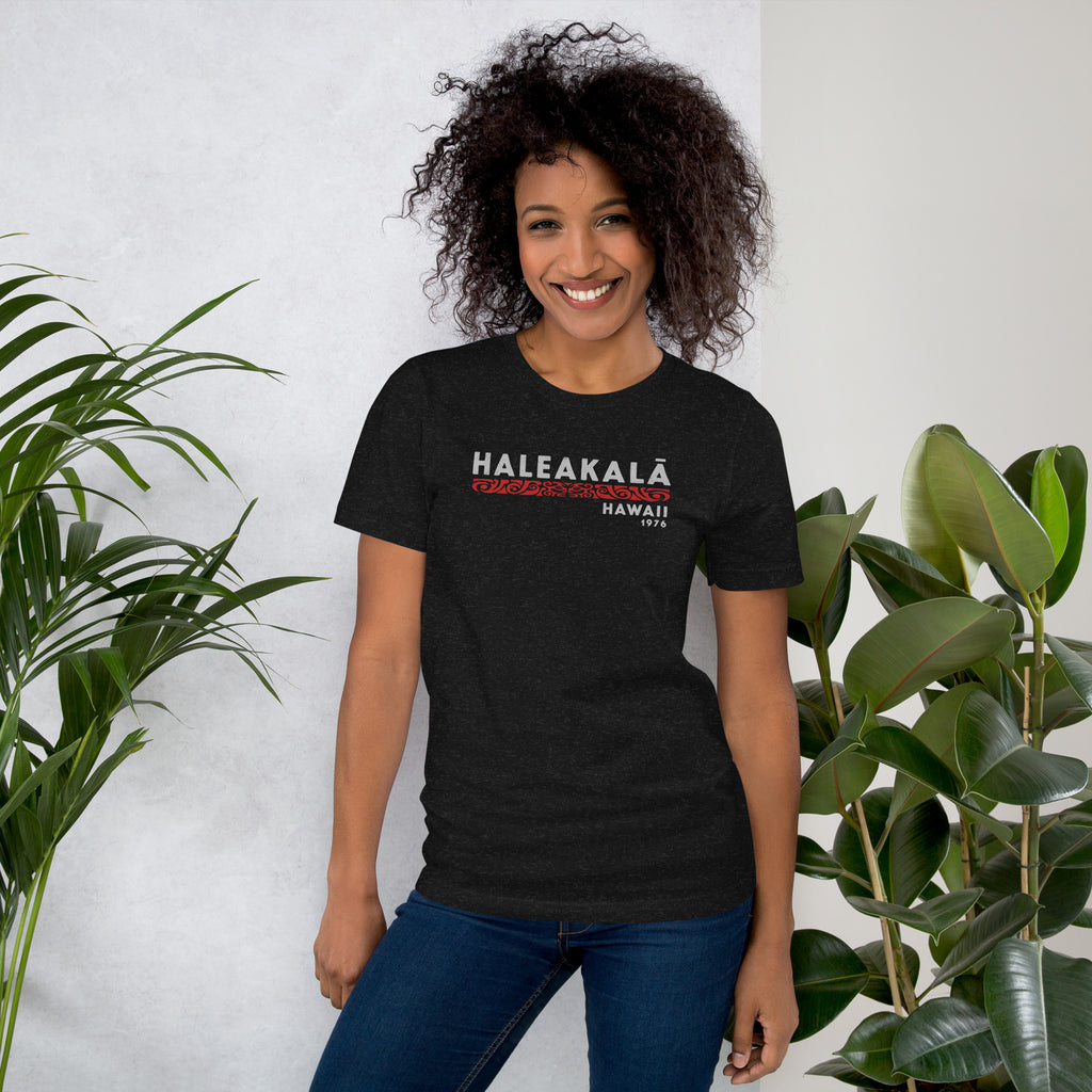 Haleakala Hawaii Park 1976 vintage graphic, printed on a SodaPop Cool t-shirt.