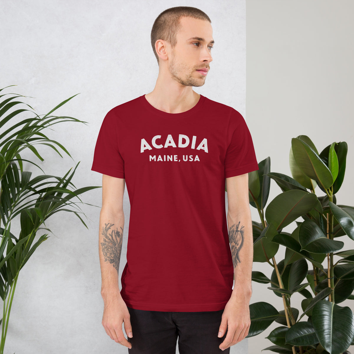 Acadia Maine Park vintage graphic, printed on a SodaPop Cool t-shirt.
