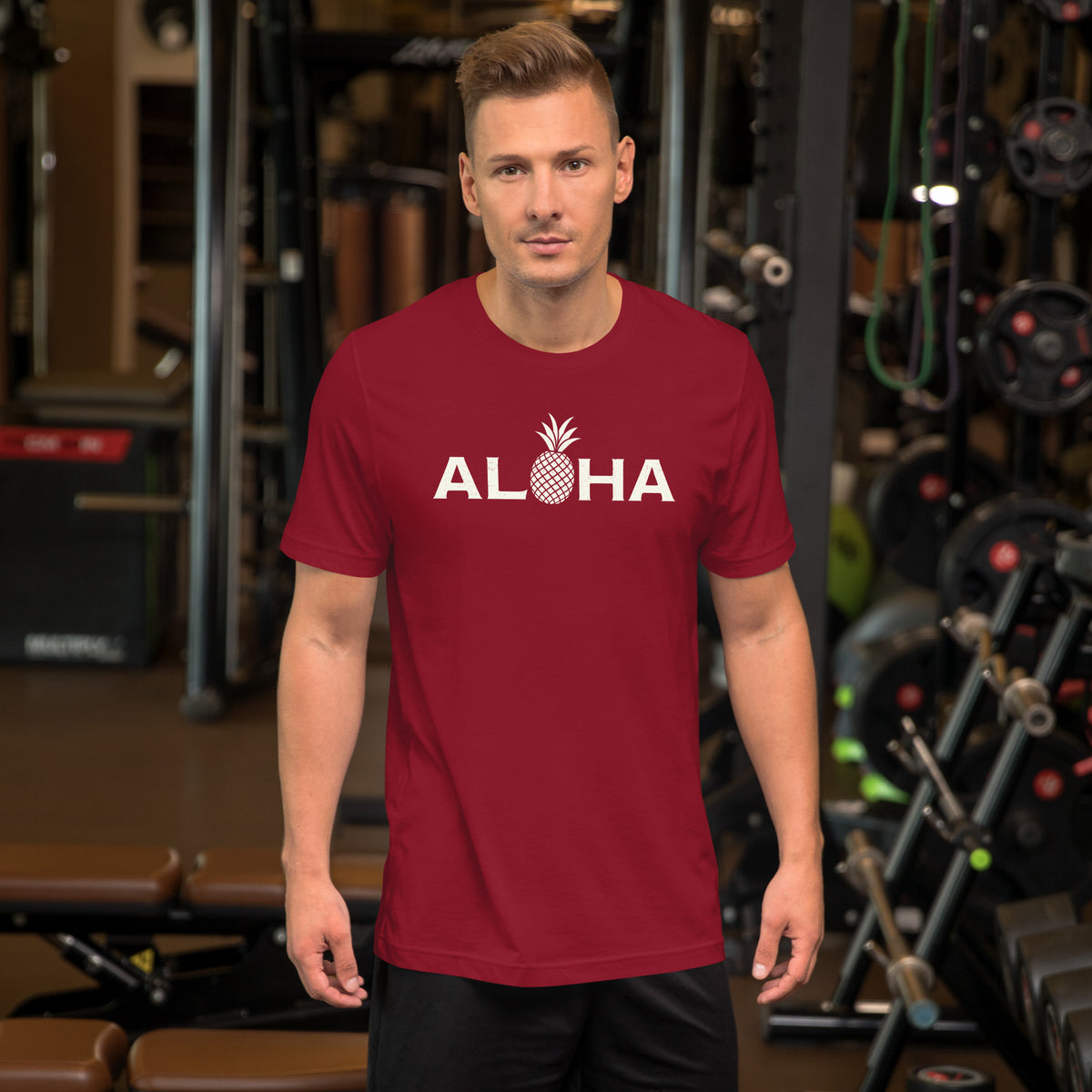 Aloha Hawaii Pineapple vintage graphic, printed on a SodaPop Cool t-shirt.