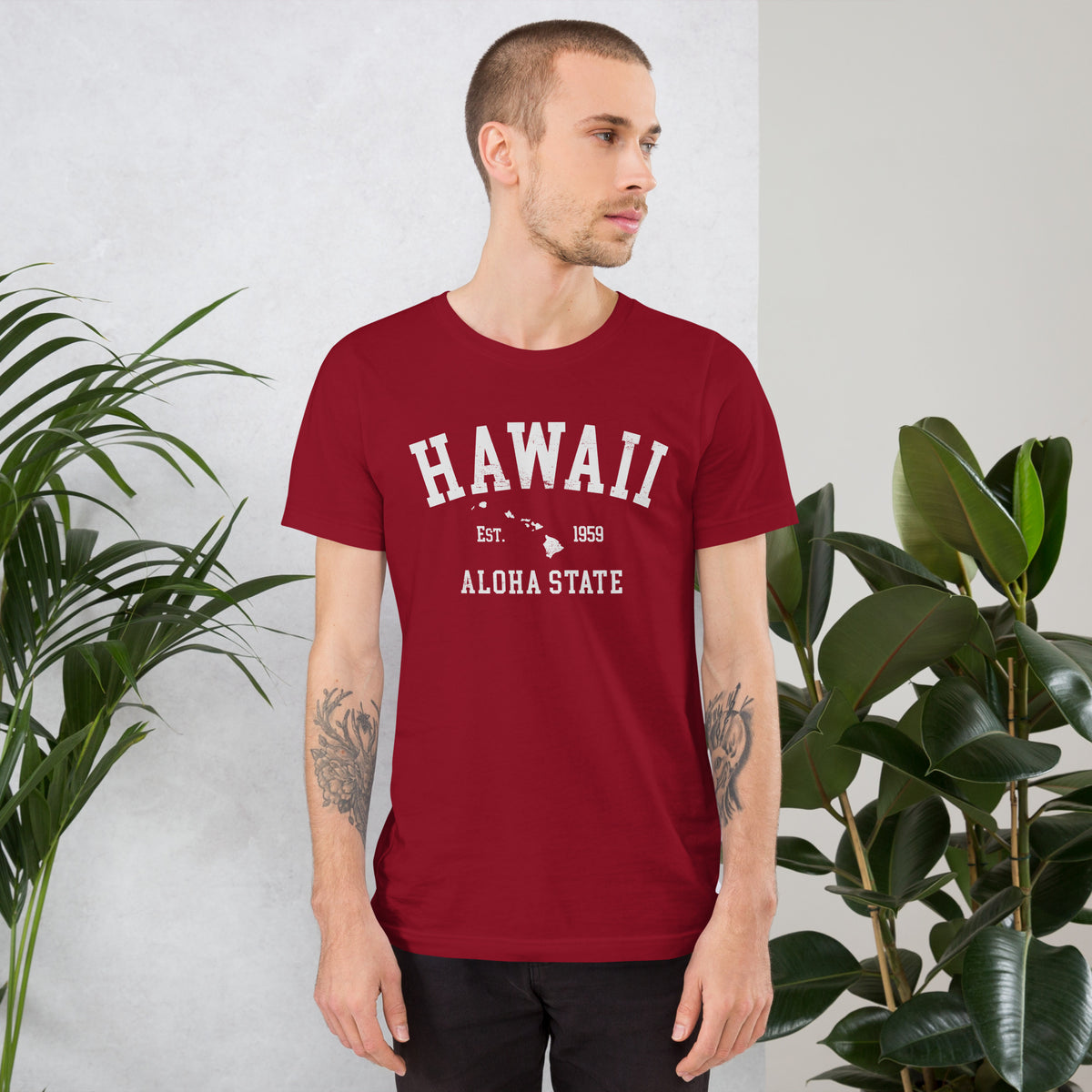 Aloha State of Hawaii vintage graphic, printed on a SodaPop Cool t-shirt.