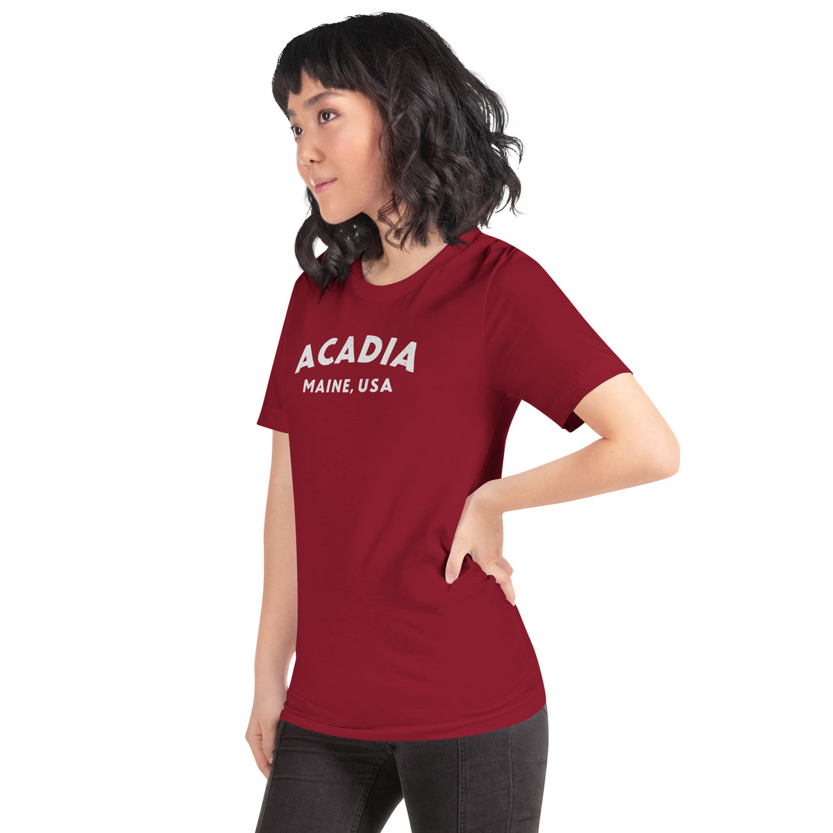 Acadia Maine Park vintage graphic, printed on a SodaPop Cool t-shirt.