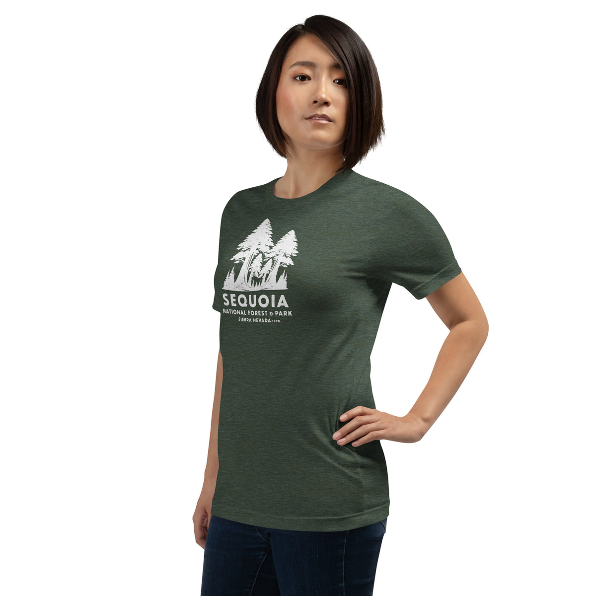 Sequoia Forest & Park California vintage graphic, printed on a SodaPop Cool t-shirt.
