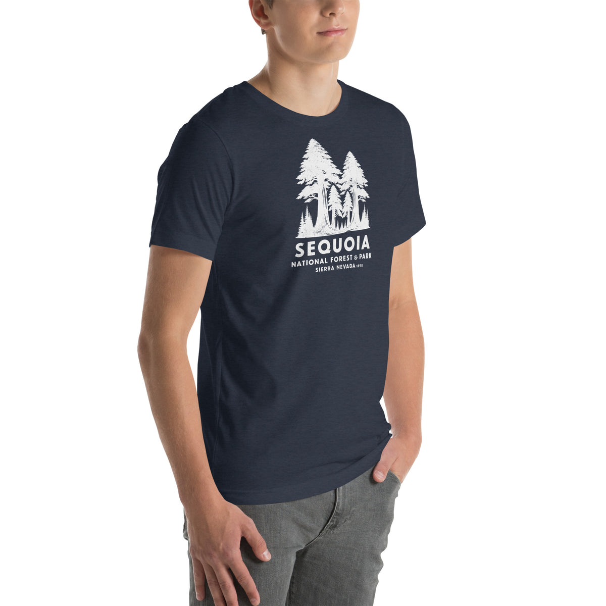 Sequoia Forest & Park California vintage graphic, printed on a SodaPop Cool t-shirt.