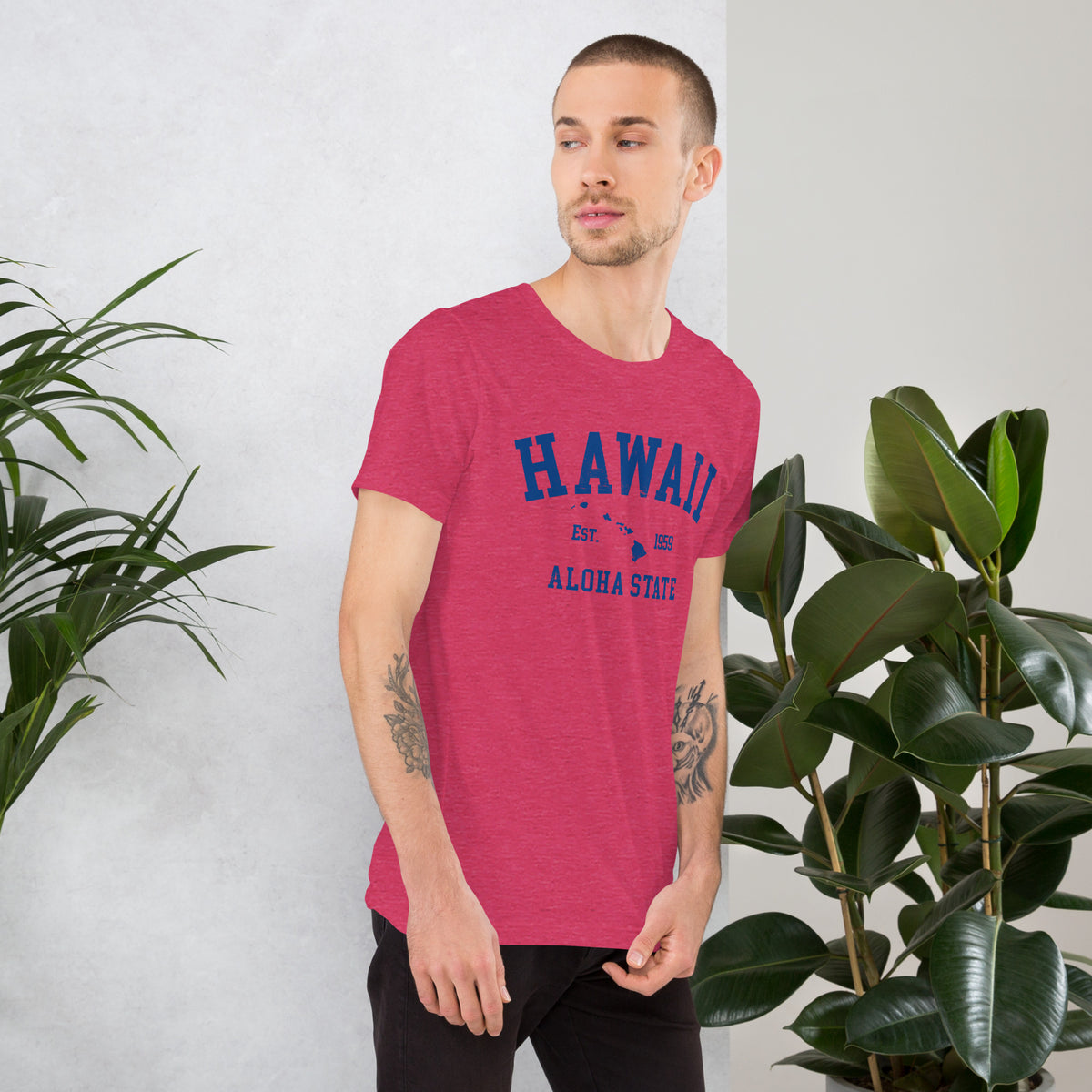 Aloha State of Hawaii vintage graphic, printed on a SodaPop Cool t-shirt.