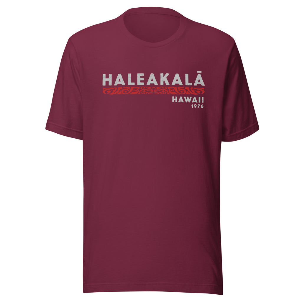 Haleakala Hawaii Park 1976 vintage graphic, printed on a SodaPop Cool t-shirt.