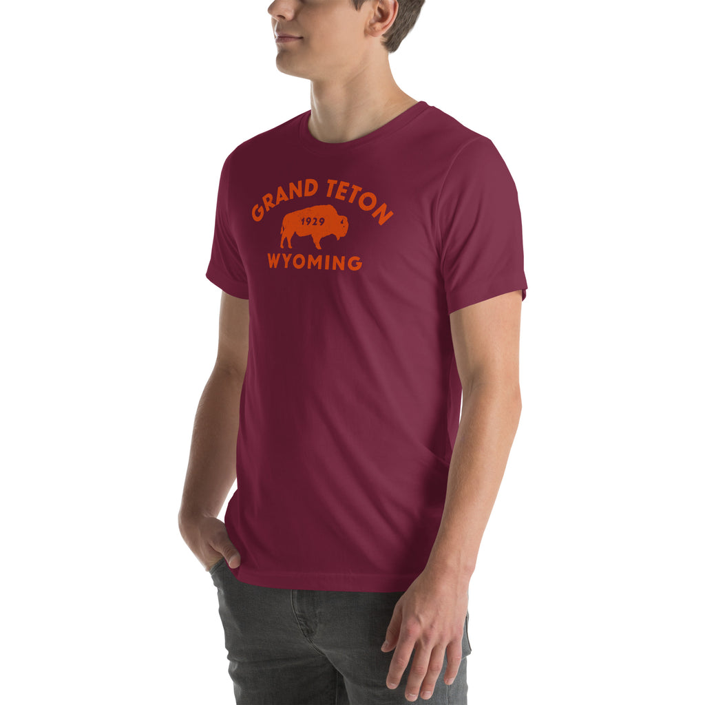 Bison in front of Grand Teton rock formations, vintage national park poster styling, printed on a SodaPop Cool t-shirt.