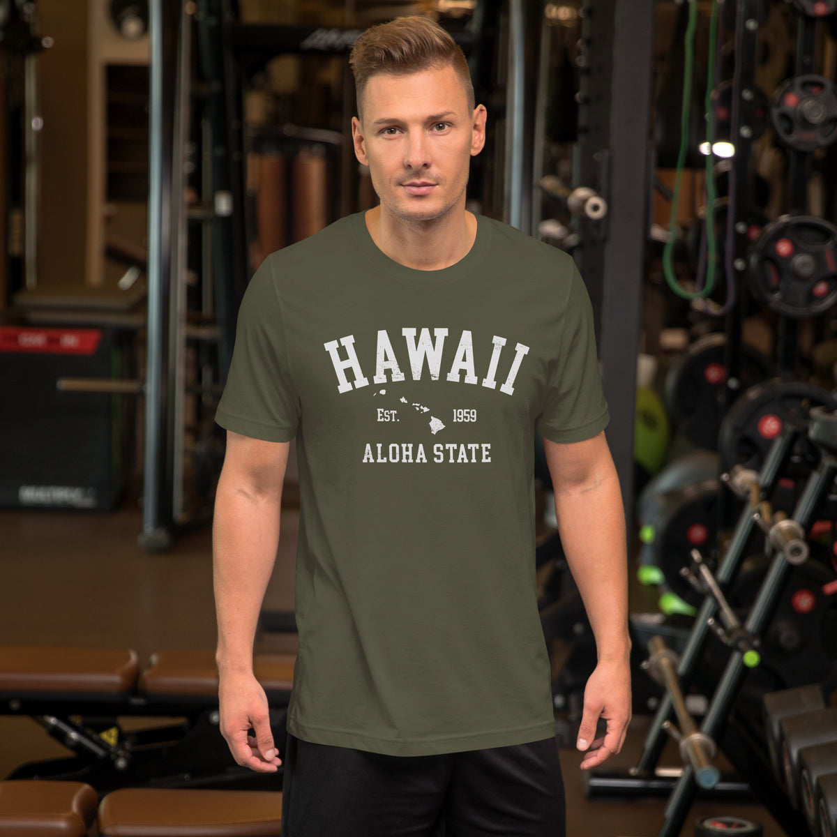 Aloha State of Hawaii vintage graphic, printed on a SodaPop Cool t-shirt.