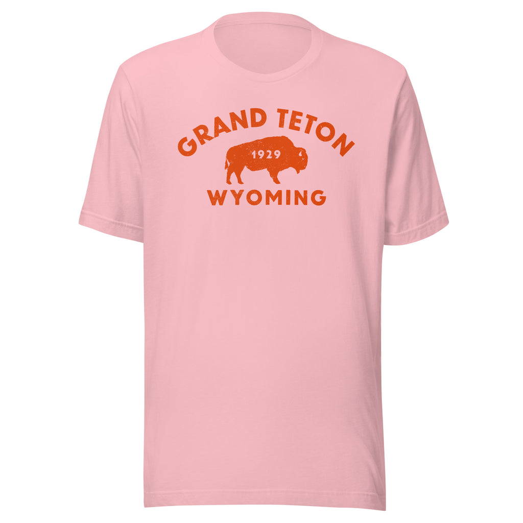 Bison in front of Grand Teton rock formations, vintage national park poster styling, printed on a SodaPop Cool t-shirt.