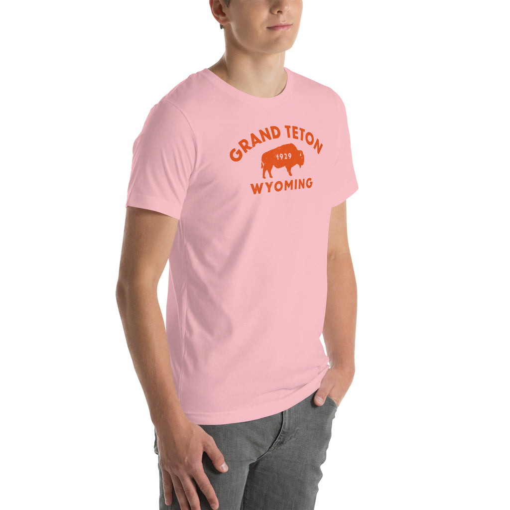 Bison in front of Grand Teton rock formations, vintage national park poster styling, printed on a SodaPop Cool t-shirt.