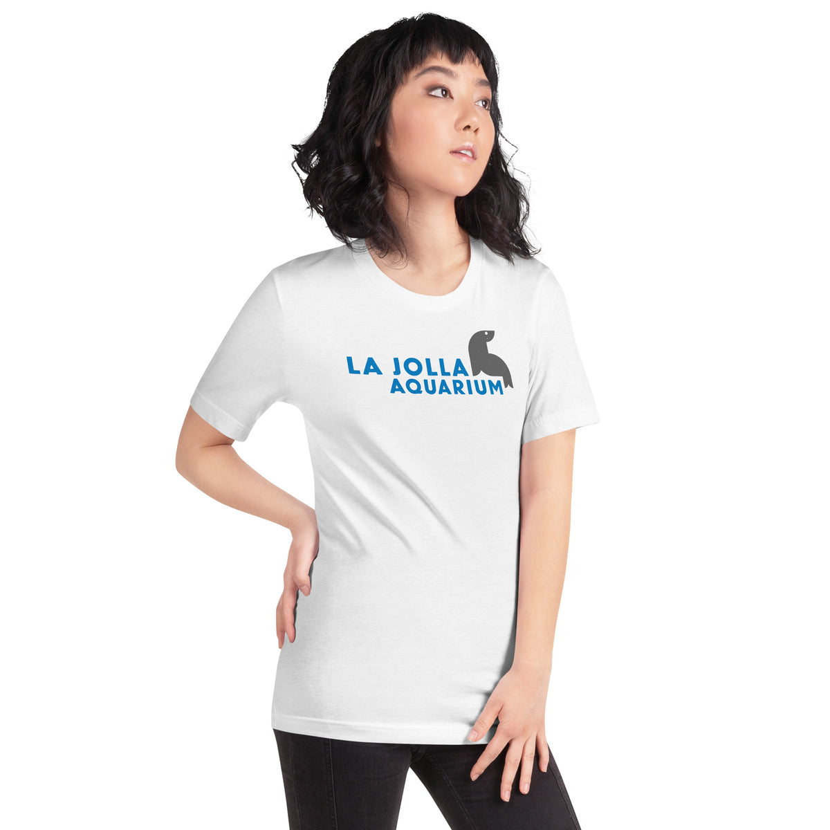 La Jolla Aquarium vintage graphic, printed on a SodaPop Cool t-shirt.