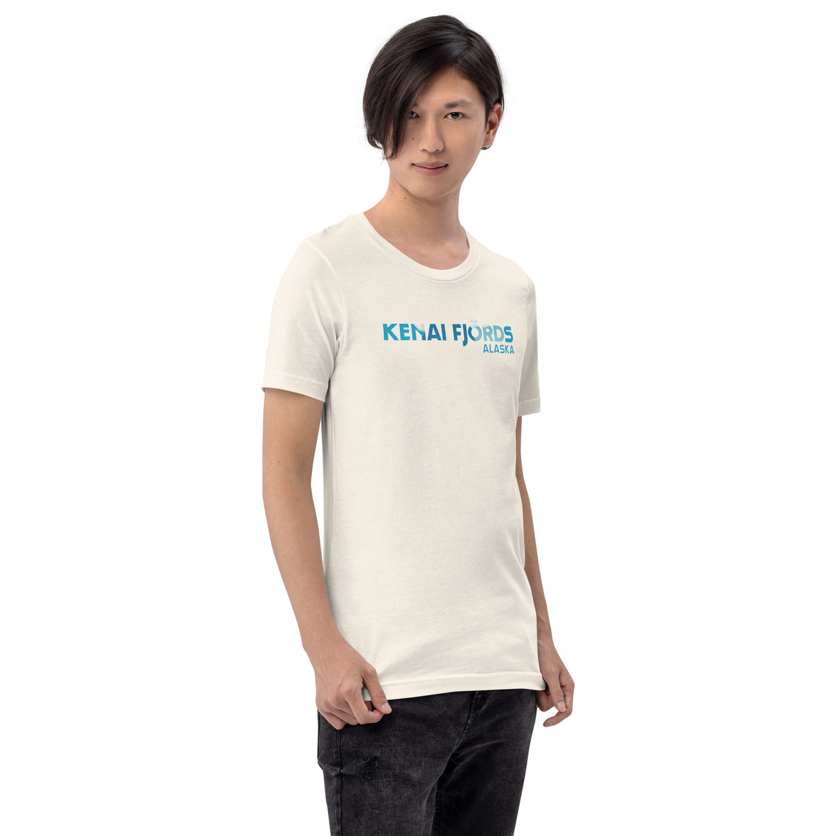 Kenai Fjords Park Alaska vintage graphic, printed on a SodaPop Cool t-shirt.