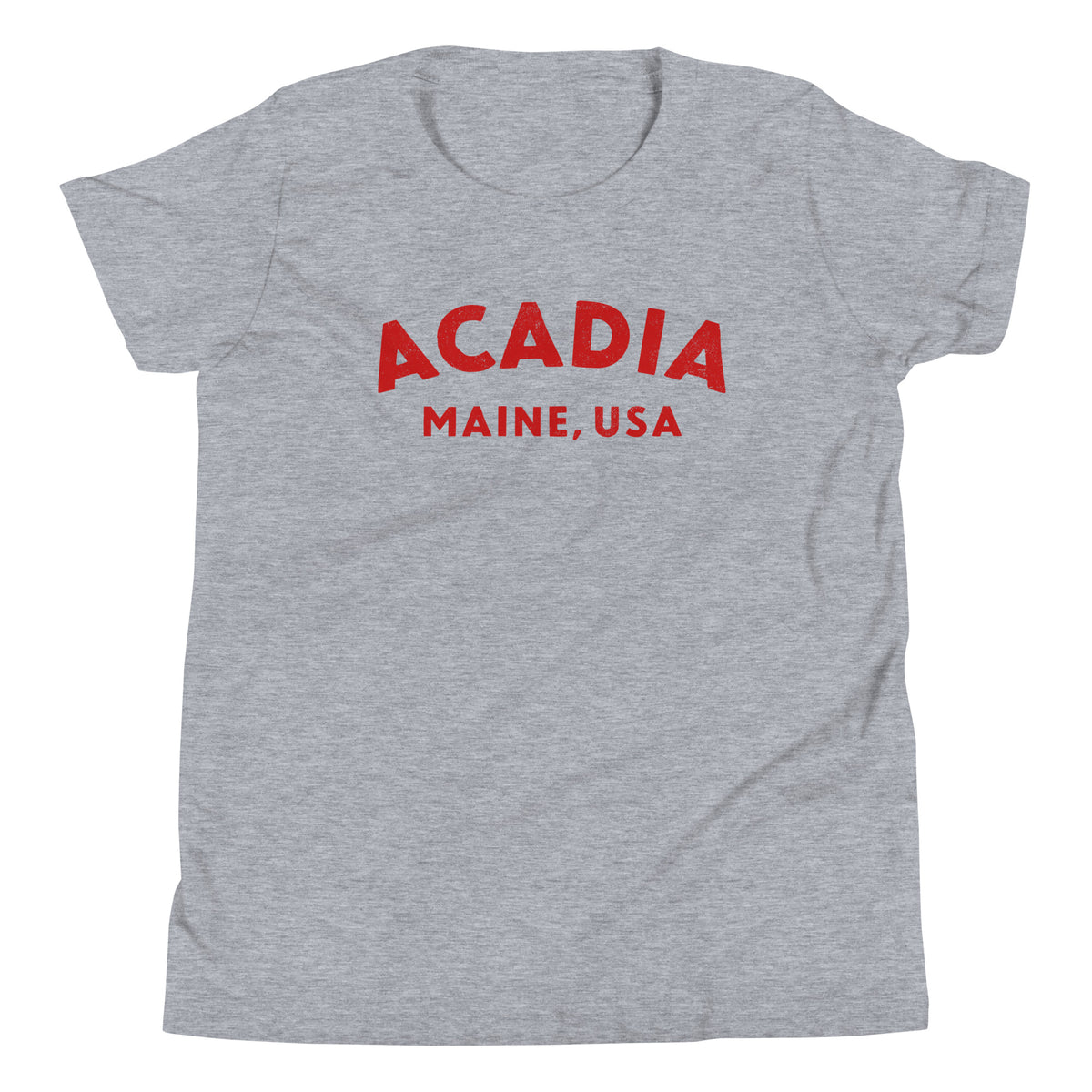 Acadia Maine Park vintage graphic, printed on a SodaPop Cool kids t-shirt.