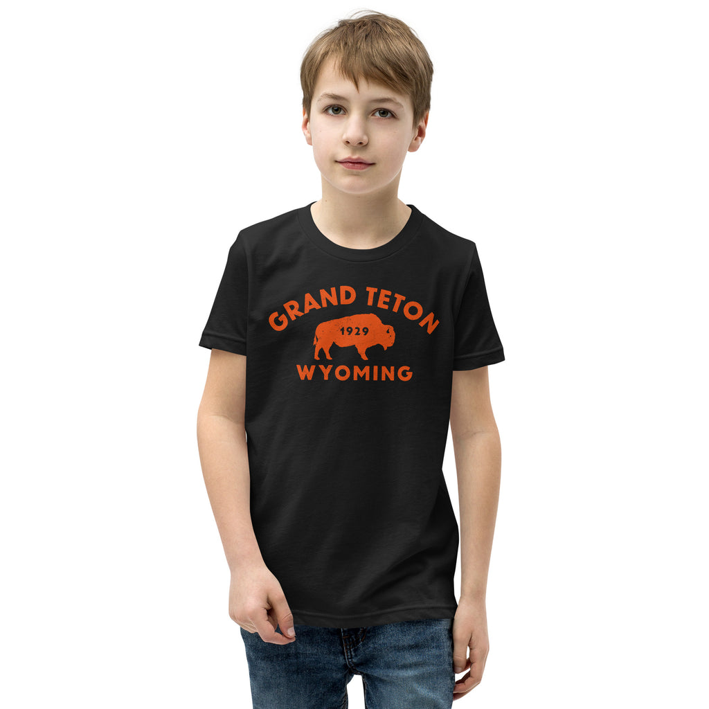 Bison in front of Grand Teton rock formations, vintage national park poster styling, printed on a SodaPop Cool kids t-shirt.