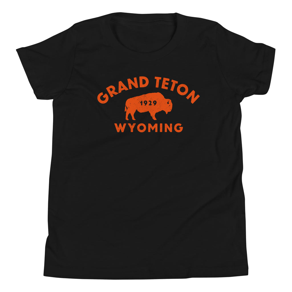 Bison in front of Grand Teton rock formations, vintage national park poster styling, printed on a SodaPop Cool kids t-shirt.